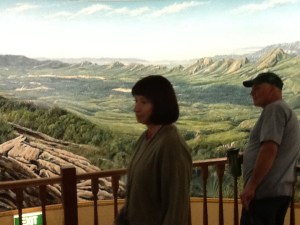 Viewing the panorama