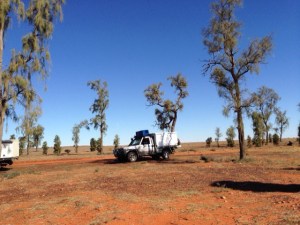 Acacia Peuce Reserve