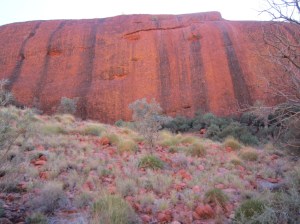 Colours of Kata Tjuta