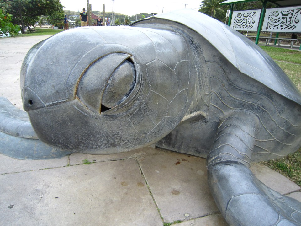 Thursday island turtle Torres Strait