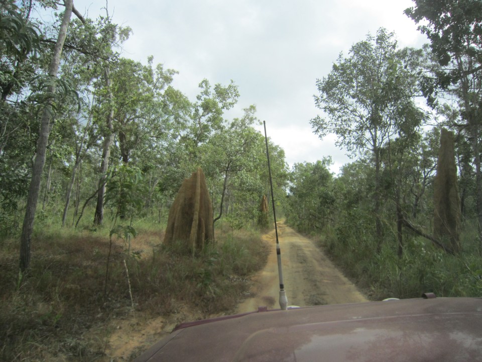 Old Telegraph Track, Cape York