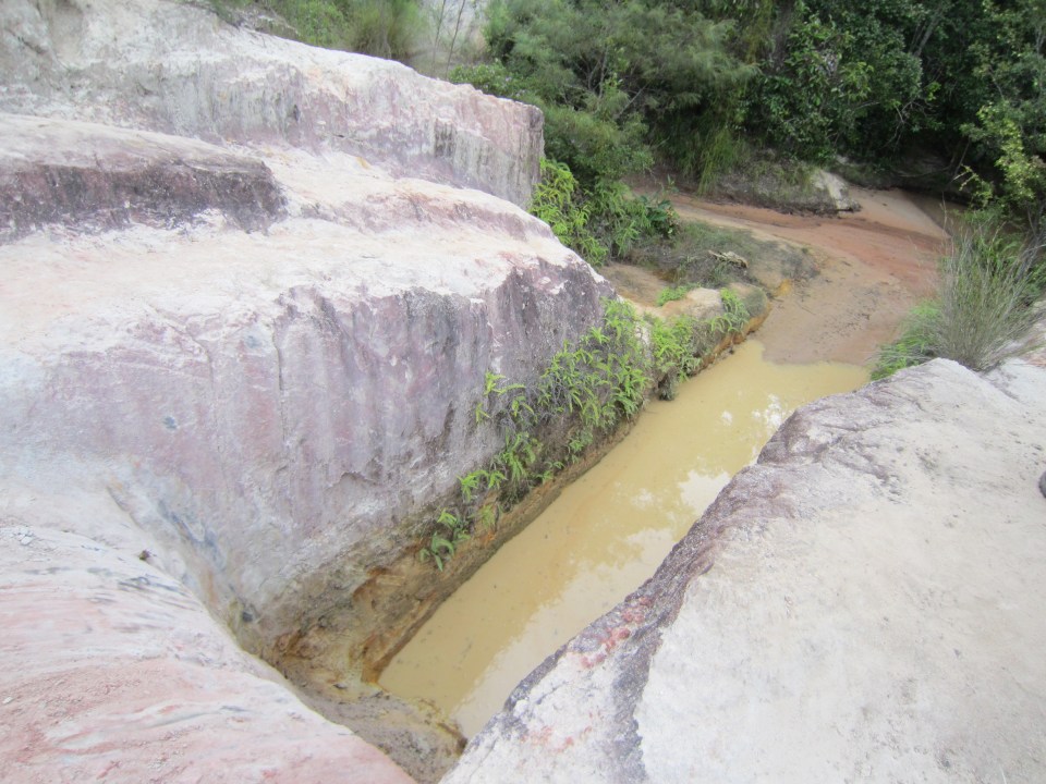 Gunshot Creek Old Telegraph Track